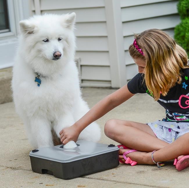 RIGHT AT HOME: Gear and gadgets for cleaning a dirty dog | iNFOnews.ca