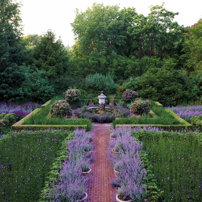 Color block gardens find drama, artistry in saturated hues | iNFOnews.ca Color block gardens find drama, artistry in saturated hues | iNFOnews.ca