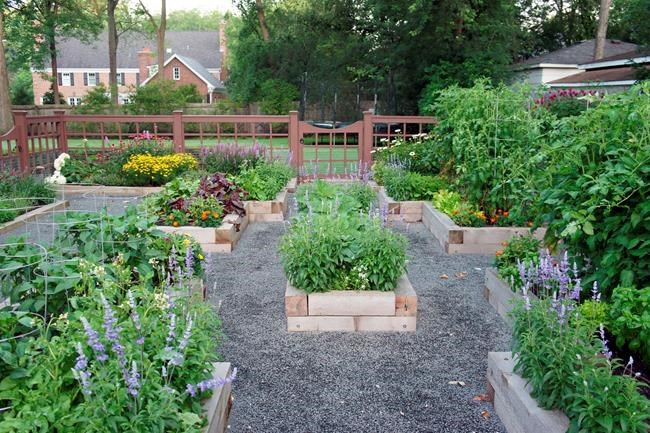 Farmers for hire turn backyards into vegetable patches | iNFOnews.ca Farmers for hire turn backyards into vegetable patches | iNFOnews.ca