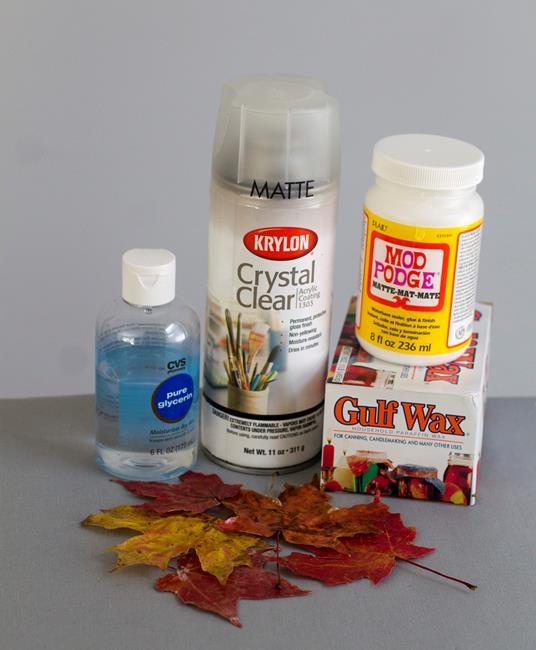 WHICHCRAFT: Capture the colours of fall by preserving leaves | iNFOnews.ca WHICHCRAFT: Capture the colours of fall by preserving leaves | iNFOnews.ca