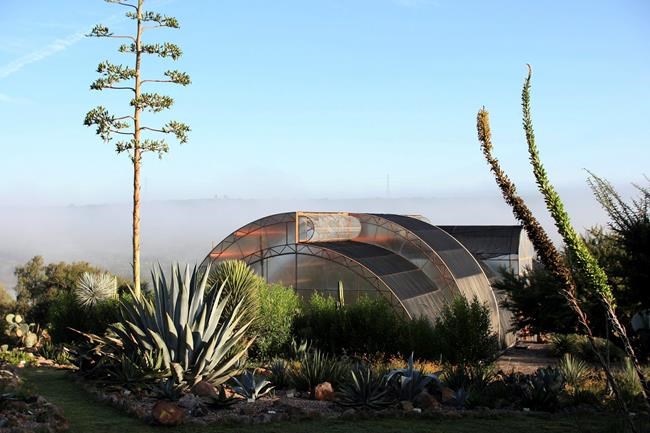 At botanical garden in Mexico, natural species blossom again | iNFOnews.ca At botanical garden in Mexico, natural species blossom again | iNFOnews.ca