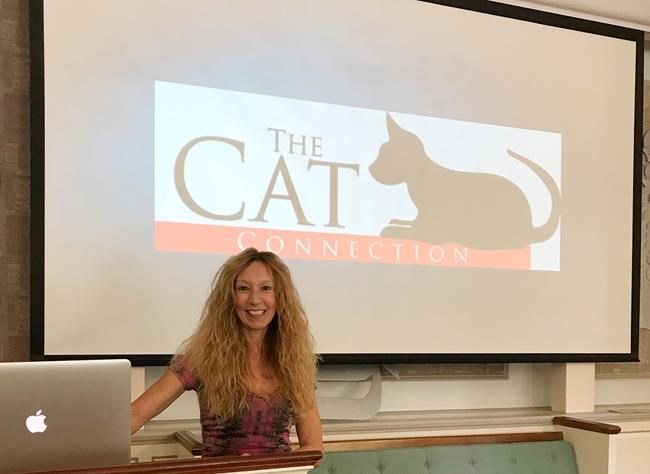 A cat is terrorizing this family. Can a cat whisperer help? | iNFOnews.ca A cat is terrorizing this family. Can a cat whisperer help? | iNFOnews.ca
