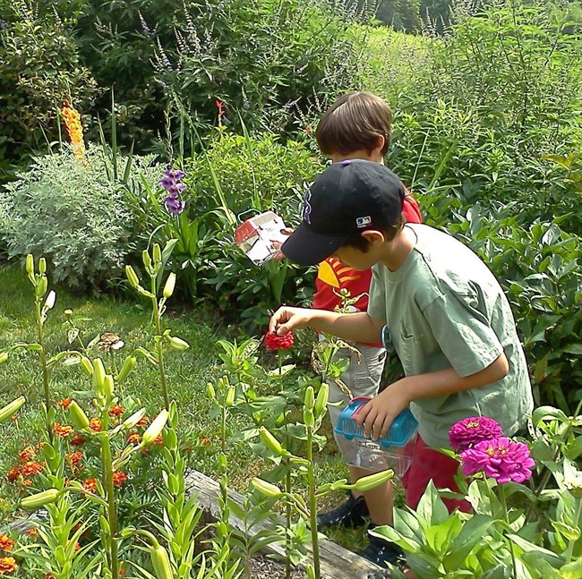 Nature camps aim to draw kids from screens to the outdoors | iNFOnews.ca CP36238237