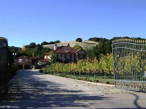 Small home vineyards require work but promise fun, profit, living in style | iNFOnews.ca CP21066265