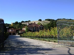 CP21066265