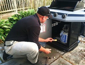 Mouse Control 101: Block entry, trap and dispose of the mice, repeat | iNFOnews.ca CP25147178