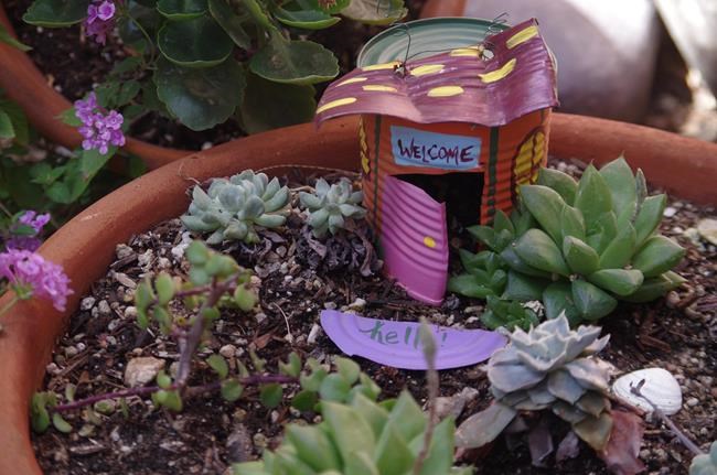 Fairy gardens captivate imaginations of both kids and adults | iNFOnews.ca