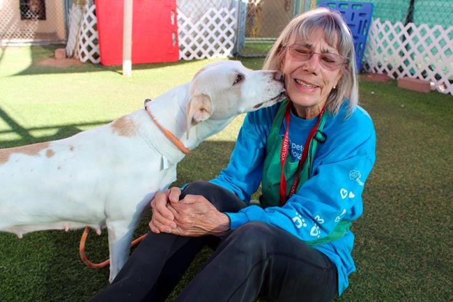 Reading to cats, walking dogs: 5 ways to help at a shelter | iNFOnews.ca Reading to cats, walking dogs: 5 ways to help at a shelter | iNFOnews.ca