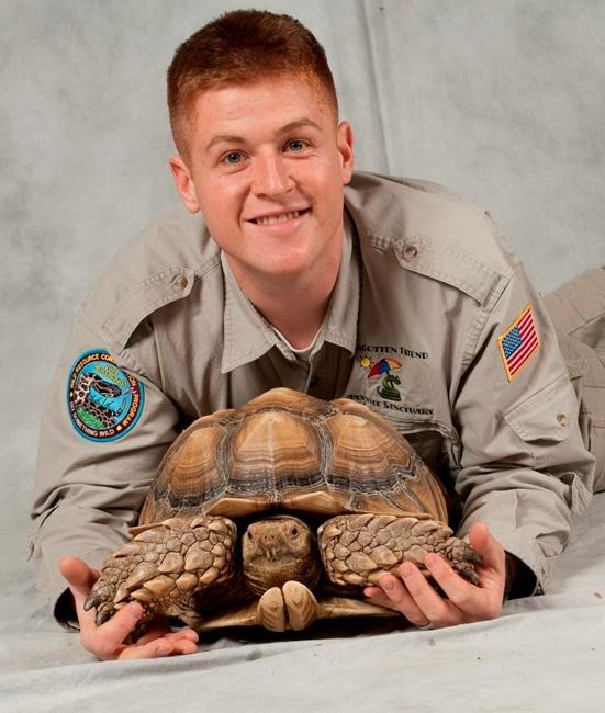 Choosing your first reptile: some species to look for | iNFOnews.ca