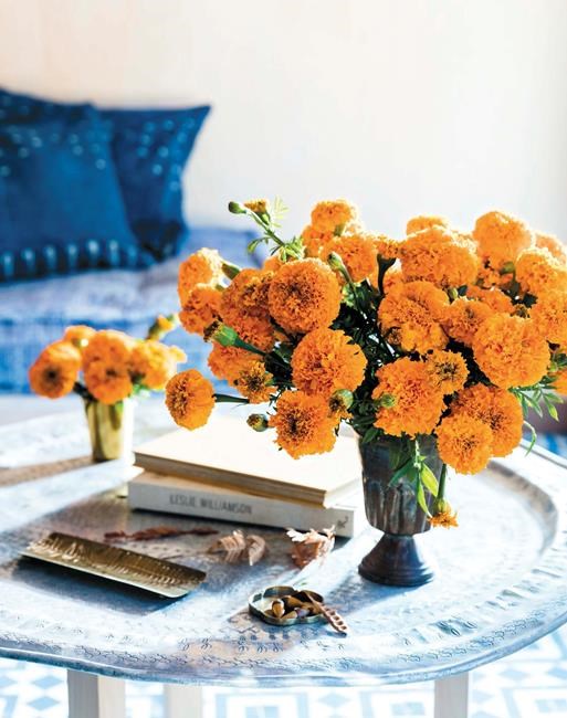 Tips for hosts and houseguests to keep holidays happy | iNFOnews.ca Tips for hosts and houseguests to keep holidays happy | iNFOnews.ca