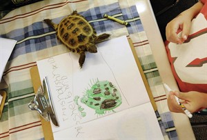 Groups helping teachers pay for classroom pets that enrich students without family animal | iNFOnews.ca CP20154813