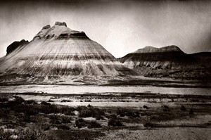 CP25714549
