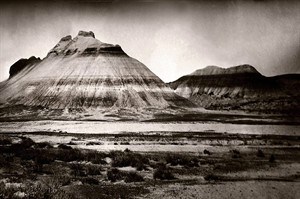 CP25714549