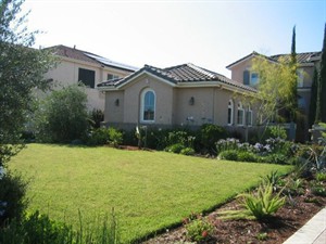 CP29144894