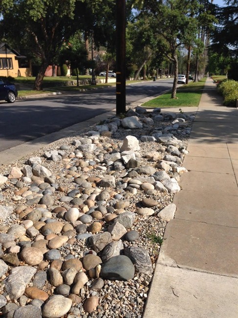 Dealing with the drought: 5 tips for conserving water at home | iNFOnews.ca