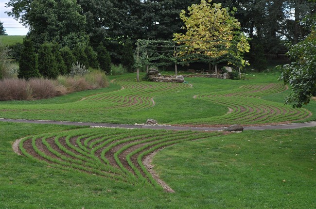 When patches of garden open up, consider planting a cover crop to improve the soil | iNFOnews.ca CP34239494