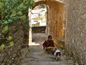 Have pet, will travel: Research, planning can ease headache of travel with pets | iNFOnews.ca CP20674682