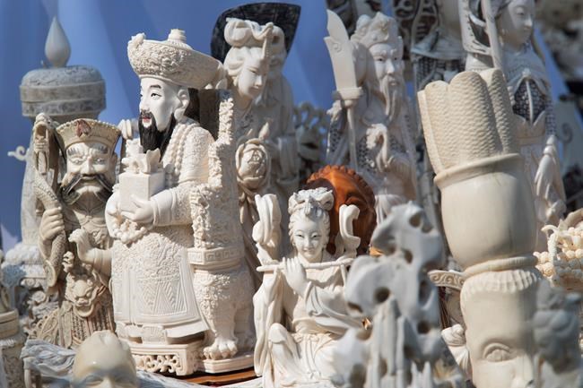 2 tons of seized ivory crushed to protest illegal trade | iNFOnews.ca