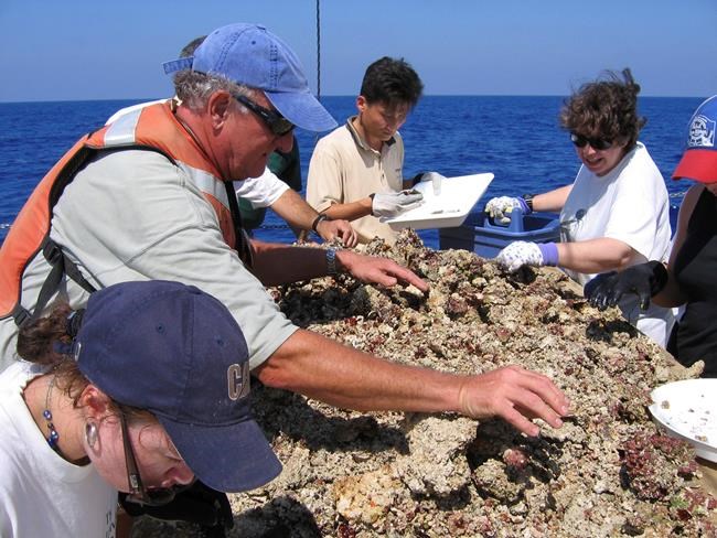 Louisiana university gives Smithsonian crustacean collection | iNFOnews.ca CP580941050