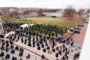 CP378907117
