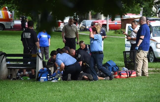 Man dies after lightning strike in NY park; 4 others injured | iNFOnews.ca Man dies after lightning strike in NY park; 4 others injured | iNFOnews.ca