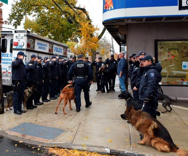 NYPD salutes K-9 just before she loses cancer battle | iNFOnews.ca NYPD salutes K-9 just before she loses cancer battle | iNFOnews.ca