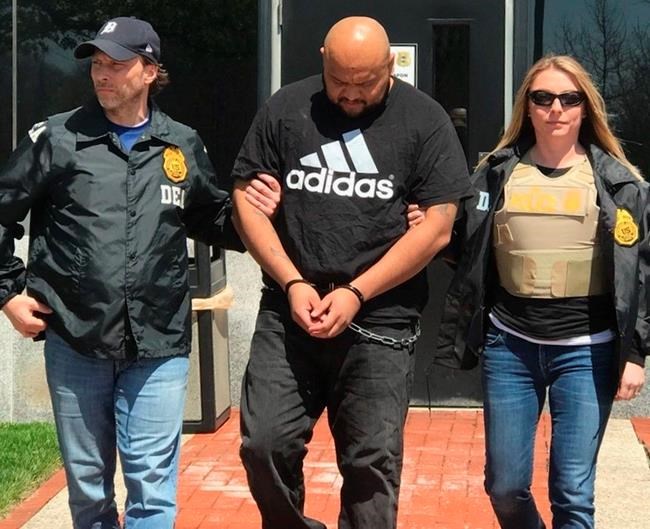 No bail for alleged East Coast leader of violent MS-13 gang | iNFOnews.ca No bail for alleged East Coast leader of violent MS-13 gang | iNFOnews.ca