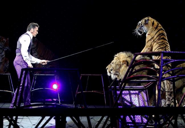 Animal advocates push ban in NYC on exotic circus animals | iNFOnews.ca