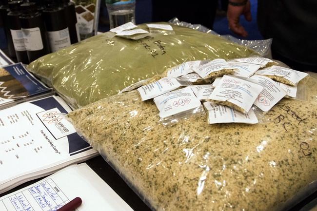 Cannabis conference in New York draws a national crowd | iNFOnews.ca CP618730088