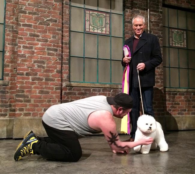 Truly best in show: Westminster winner makes Broadway debut | iNFOnews.ca Truly best in show: Westminster winner makes Broadway debut | iNFOnews.ca