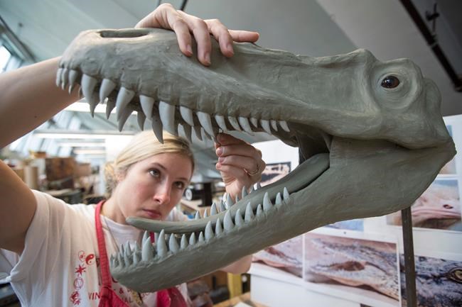 American Museum of Natural History outlines reopening plans | iNFOnews.ca