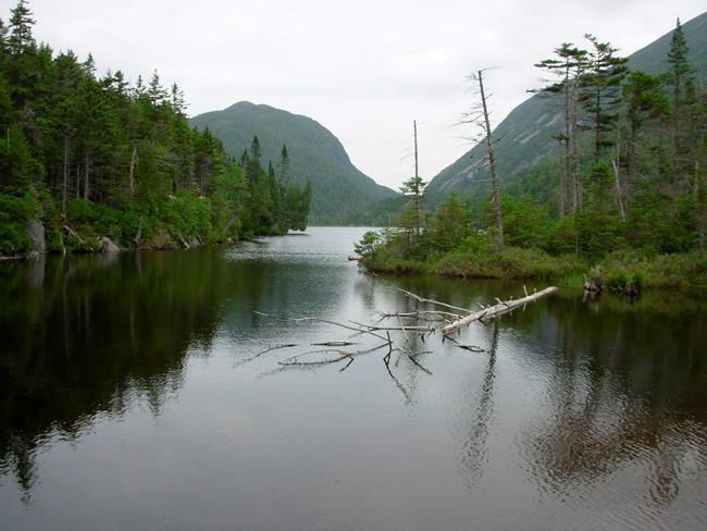 Trout found in Adirondack lake once soured by acid rain | iNFOnews.ca CP197178051