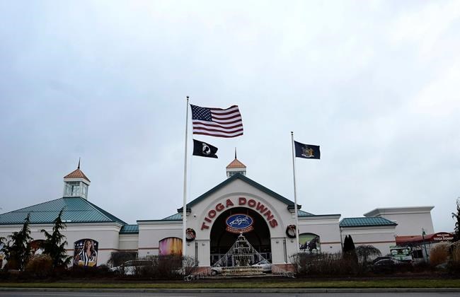New York pumps up gambling treatment as it expands gambling | iNFOnews.ca