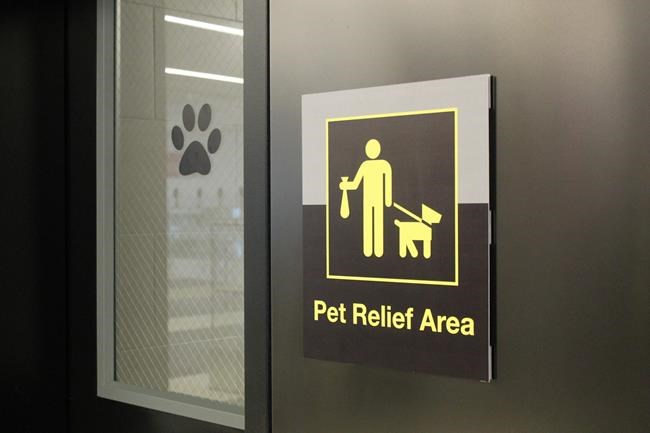 Wee-lief! Dogs get airport bathrooms of their own | iNFOnews.ca