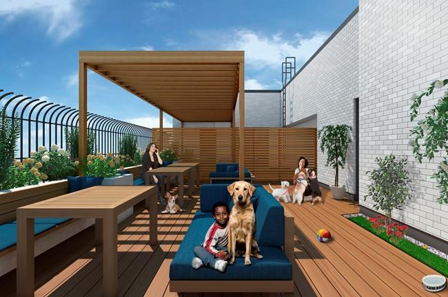 Domestic violence shelter being custom-built to include pets | iNFOnews.ca