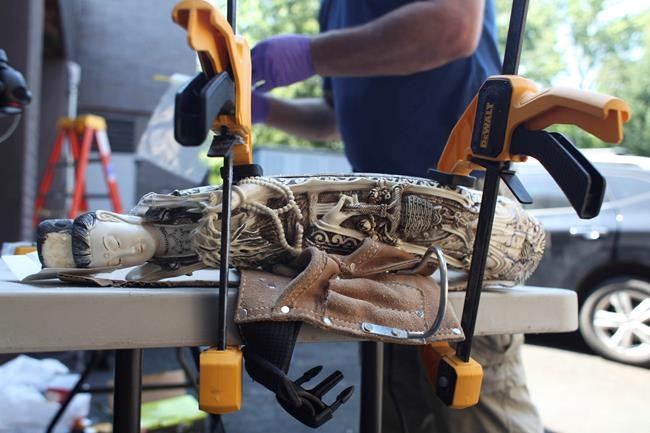 Seized ivory probed for clues that could help save elephants | iNFOnews.ca