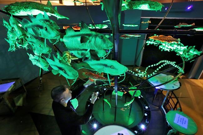 'Unseen' museum exhibit to depict glow-in-the-dark creatures | iNFOnews.ca 'Unseen' museum exhibit to depict glow-in-the-dark creatures | iNFOnews.ca
