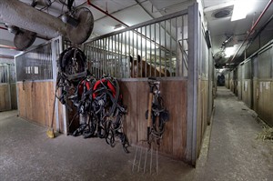 CP27145413