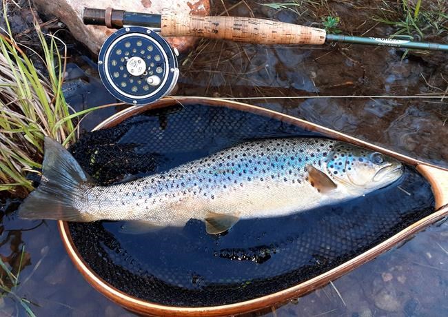 VIRUS DIARY: On a river, with rod and reel, he finds peace | iNFOnews.ca CP431746295