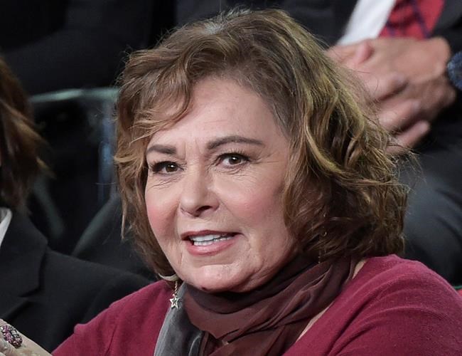 Roseanne Barr will appear on TV for first time since firing | iNFOnews.ca Roseanne Barr will appear on TV for first time since firing | iNFOnews.ca