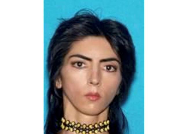 Police plan lengthy investigation of YouTube shooter's past | iNFOnews.ca