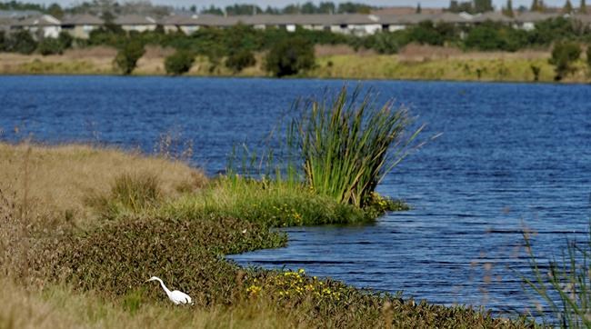 Trump rollback could leave waterways vulnerable to pollution | iNFOnews.ca