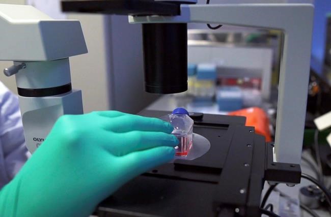 Dutch virus infections fall 20% but variants gain strongly | iNFOnews.ca