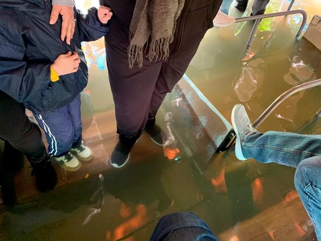 Guests evacuated after boat at Disney World takes on water | iNFOnews.ca