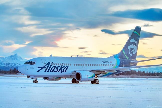 Jetliner hits brown bear while landing in southeast Alaska | iNFOnews.ca Jetliner hits brown bear while landing in southeast Alaska | iNFOnews.ca