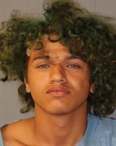 2 suspects in Hawaii vacation rental home killing in custody | iNFOnews.ca