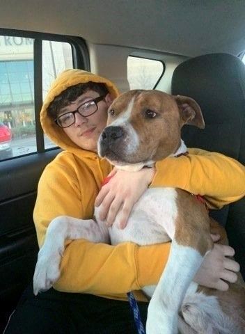 Stolen pit bull to make cross-country trip back home | iNFOnews.ca