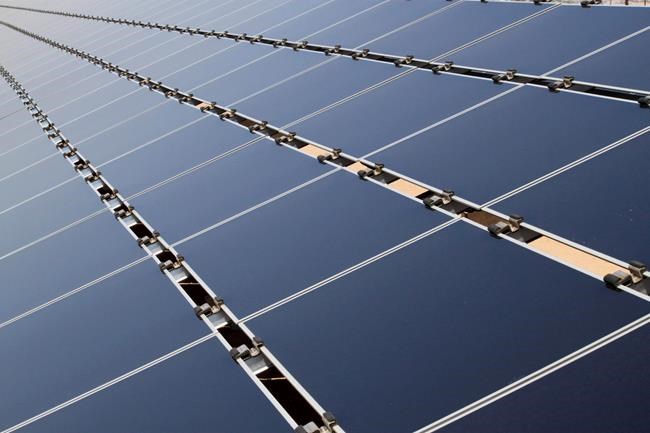 Solar industry on edge as Trump weighs tariffs on panels | iNFOnews.ca