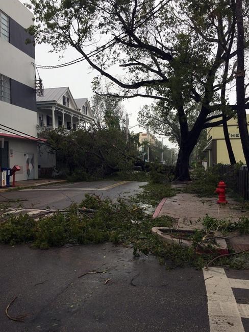 For a new Key West resident, Irma was her welcome-to-town | iNFOnews.ca