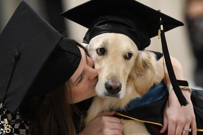 Good boy! Service dog gets honorary diploma | iNFOnews.ca